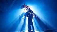 Celebrating five decades of theatre excellence