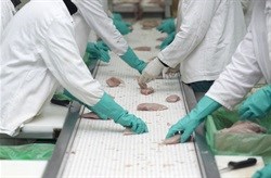 Poultry producers' recovery