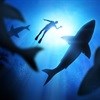 DEA gazettes Shark Biodiversity Management Plan