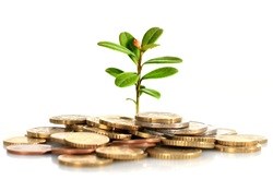 Investments in Coega IDZ create 7,000 jobs