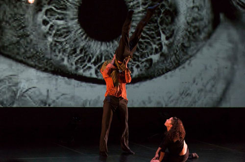 Figure of Eight Dance Collective comes of age with Grant and Shaun - A Double Bill of Dance