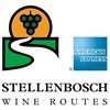 Stellenbosch to host bloggers again