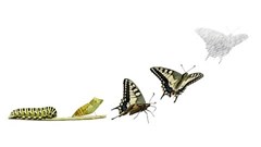 Digital transformation - What does it mean?