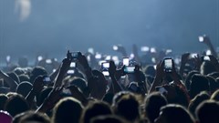 Build fans, not audiences