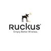 Ruckus Wireless contemplates Wi-Fi and LTE convergence