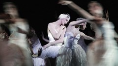 Swan Lake on the big screen in glorious HD