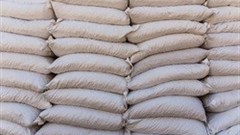 Zimbabwe to import 700,000 tons of corn to avert hunger