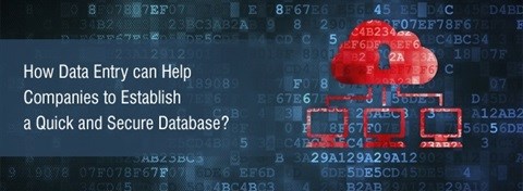 How data entry can help companies to establish a quick and secure database?