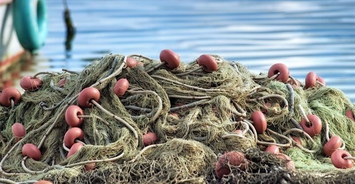 [Food for Thought] There are plenty of fish in the sea. Or are there?