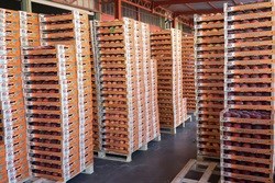 Strict price control needed