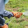 Dept to probe classification of herbicide as possibly carcinogenic