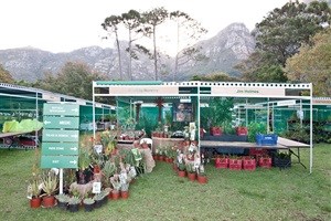 Scan Display, proud infrastructure sponsor for Investec Kirstenbosch Plant Fair 2015