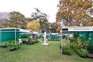 Scan Display, proud infrastructure sponsor for Investec Kirstenbosch Plant Fair 2015