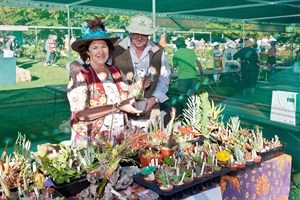 Scan Display, proud infrastructure sponsor for Investec Kirstenbosch Plant Fair 2015