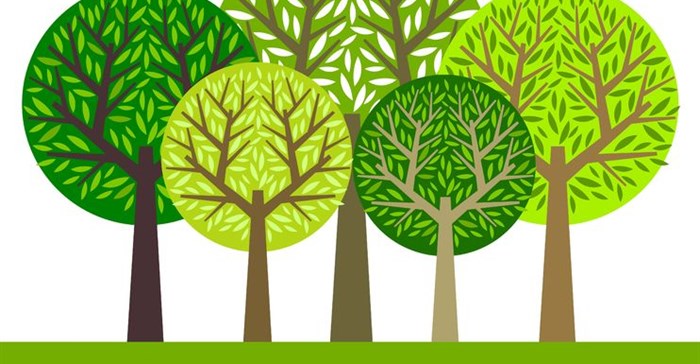 South Africans urged to protect biodiversity