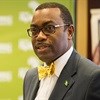 Nigeria's Akinwumi Adesina voted new Africa bank chief