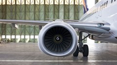 Desert farms could power flight with sunshine and seawater