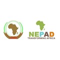 NEPAD commended on key infrastructure achievements