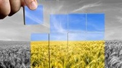 New app to connect Kenyan farmers with climate-smart seeds