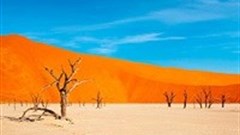Namibia: Find your way with pocket guide app