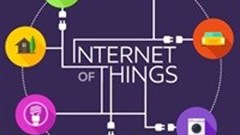 Is the Internet of Things the next big thing for mobile app companies?