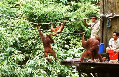 Meandering in Malaysia: Reasons why you should visit