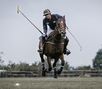 Land Rover Africa Cup returns to Jozi