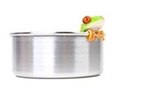 How do you boil a frog?