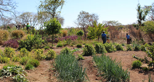 Ten ways to live more greenly