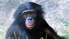 Brand trust - It's in the eyes