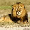 Cecil, king of the news