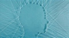 The neuroscience of innovation