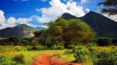 Kenya to build giant railway bridges over national park