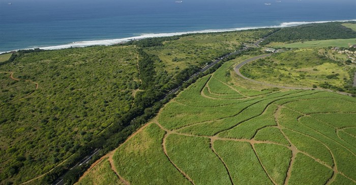 Major deals the latest in rush for north coast property