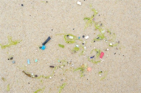 Call to support 2015 International Coastal Clean-up Day