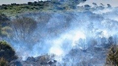 Drought, climate change and forestry: the role of science and technology