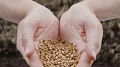 US durable-goods orders rise for second month in July