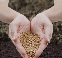 US durable-goods orders rise for second month in July