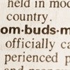 The ombudsman cometh