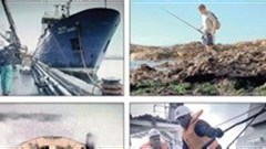 [Orchids & Onions] Casting net in the right place