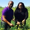 ECDC throws its weight behind canola oil production