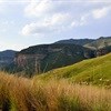 10th official South African National Parks Week launched