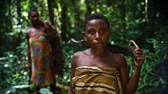 Empowering women can help drive sustainable forest use in Africa