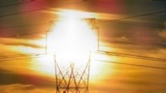 [Earth Focus] Solar power: lessons from nature