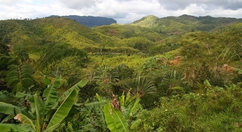 Empowering women through tenure rights in forestry