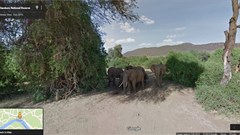 Eyes on elephants as Google cameras snap Kenya reserve