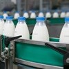 Clover milks it, but profit leaves watchers unmoved