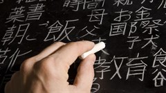 Centre for Japanese Studies launched at UP