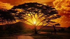 [Orchids & Onions] Slick campaign gives new impetus to home-grown tourism