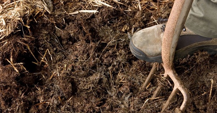 Eastern Cape should take up opportunities in agriculture